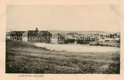 AK / Ansichtskarte Chateau Salins_57_Moselle Panorama 