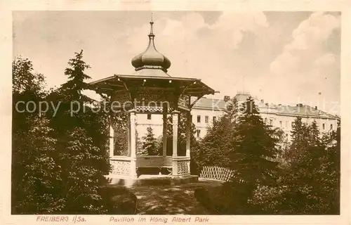 AK / Ansichtskarte 73821537 Freiberg__Sachsen Pavillon im Koenig Albert Park 