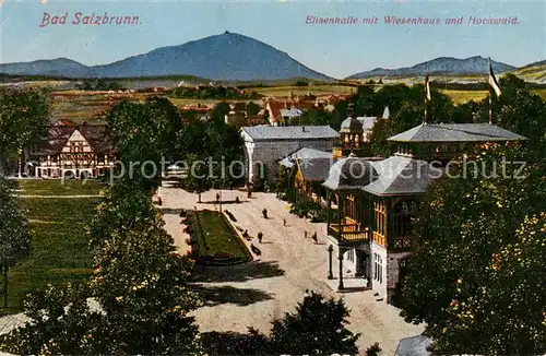 AK / Ansichtskarte 73822001 Bad_Salzbrunn_Szczawno-Zdroj_PL Elisenhalle mit Wiesenhaus und Hochwald 