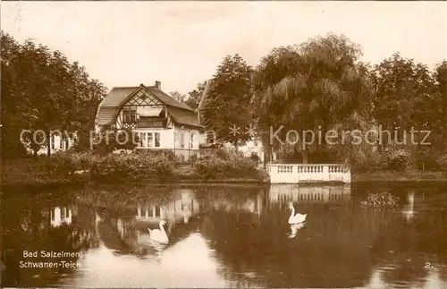 AK / Ansichtskarte 73822177 Bad_Salzelmen Schwanen Teich Bad_Salzelmen