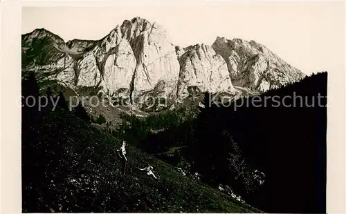 AK / Ansichtskarte Innerthal_Innertal_SZ Bockmattlistock und Scheinberg vom Trebsenthal aus 