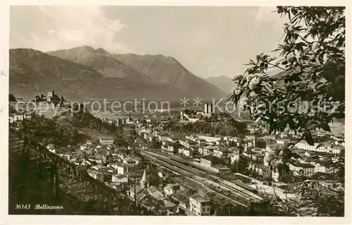 AK / Ansichtskarte Bellinzona_TI Panorama 