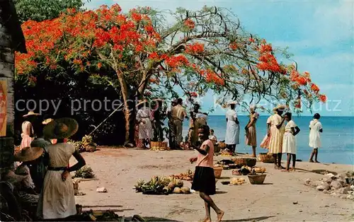 AK / Ansichtskarte 73823492 Martinique Trois Rivieres Marche en plein air Martinique