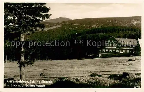 AK / Ansichtskarte 73823705 Riesengebirge_Schlesischer_Teil Schlingelbaude mit Schneekoppenblick 