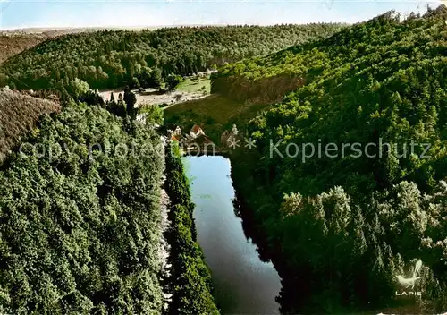 AK / Ansichtskarte Jaegerthal_67_Bas Rhin Vue aerienne L Etang 