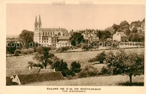 AK / Ansichtskarte Montligeon_La_Chapelle_61 Eglise de ND de Montligeon Vue d ensemble 