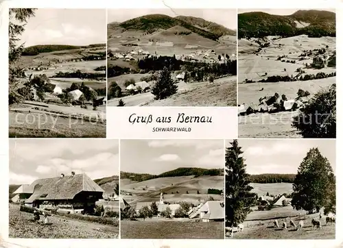 AK / Ansichtskarte 73827227 Bernau_Schwarzwald Panorama Teilansichten Bernau Schwarzwald