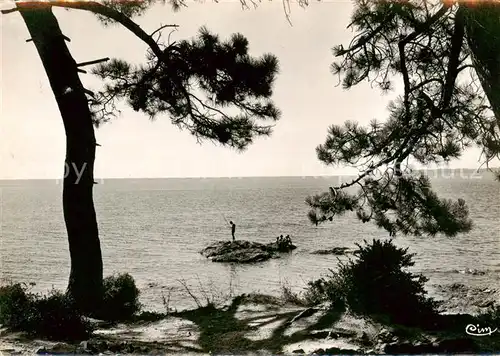 AK / Ansichtskarte Ste Maxime sur Mer_83 Bord de Mer a Beauvallon 