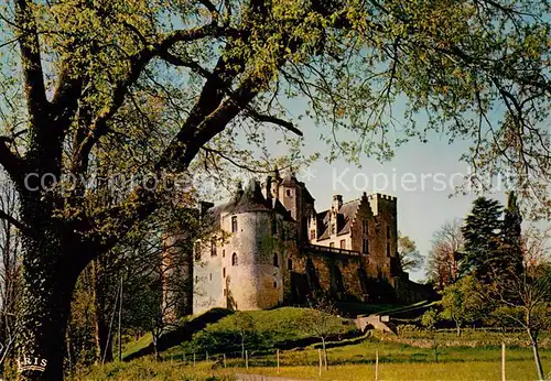 AK / Ansichtskarte Fayrac_24_Dordogne Chateau de Fayrac 