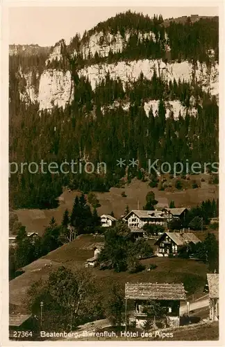 AK / Ansichtskarte Beatenberg_Thunersee_BE mit Birrenfluh und Hotel des Alpes 