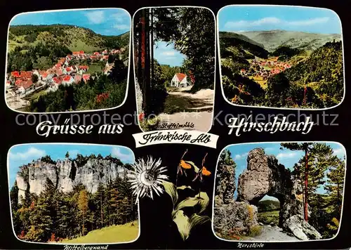 AK / Ansichtskarte Hirschbach_Oberpfalz Panorama Mittelbergwand Stoffelmuehle Noristoerle Hirschbach Oberpfalz
