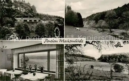 AK / Ansichtskarte 73830327 Selters_Westerwald Pension Mausmuehle Gaststube Panorama Selters_Westerwald