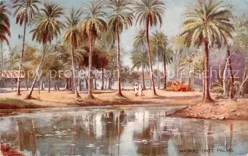 AK / Ansichtskarte Madras__Tamil_Nadu_India Date Palms 