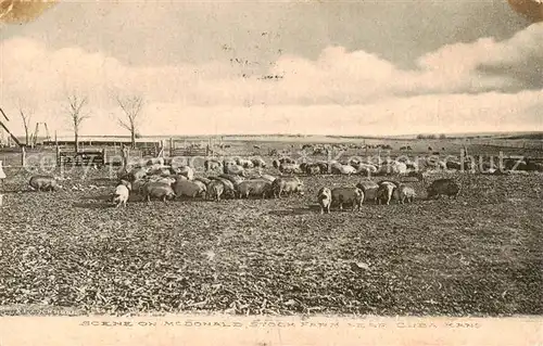 AK / Ansichtskarte 73831580 Cuba_Kansas_USA Scene on Mc Donald Stock Farm  