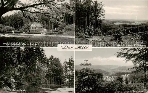 AK / Ansichtskarte Holzminden_Weser Hils Mittelgebirgszug Waldwirtschaft Roter Fuchs Hilsbornteich Panoramablick vom Kammweg Landschaft Gruenenplan Holzminden Weser