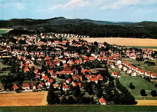 AK / Ansichtskarte Liebenburg Fliegeraufnahme Liebenburg