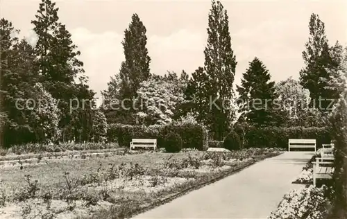 AK / Ansichtskarte Kamenz_Sachsen Rosengarten am Lessinghaus Kamenz Sachsen