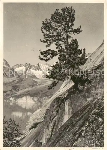 AK / Ansichtskarte Grimselsee_BE Arve mit dem schmutzbedeckten Unteraargletscher Grimselsee BE