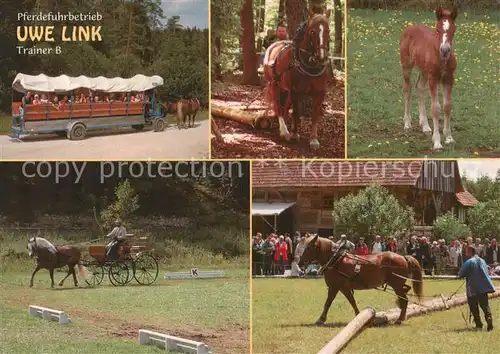 AK / Ansichtskarte 73835690 Neufra_Hohenzollern Pferdefuhrbetrieb Uwe Link Trainer B Planwagenfahren Holzruecken Fohlen Dressurfahren Neufra_Hohenzollern