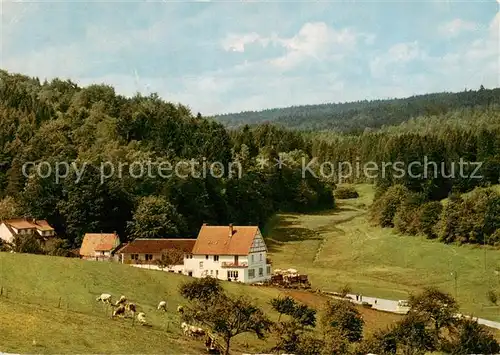 AK / Ansichtskarte Gras Ellenbach Blick ins Gassbachtal Gras Ellenbach