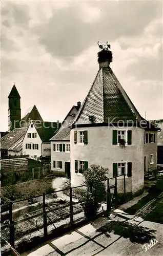 AK / Ansichtskarte Gunzenhausen_Altmuehlsee Storchennest Gunzenhausen Altmuehlsee