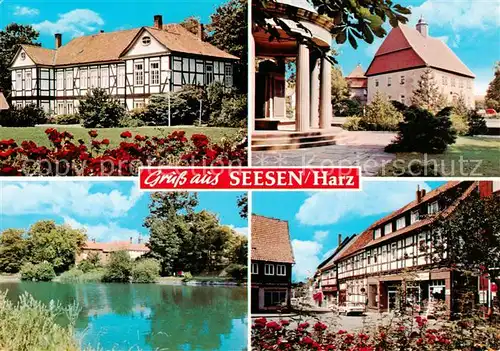 AK / Ansichtskarte Seesen_Harz Fachwerkhaeuser Teich Park Seesen Harz