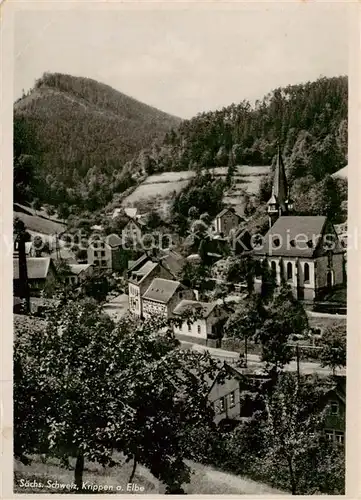 AK / Ansichtskarte 73839671 Krippen_Bad_Schandau Ortsansicht Krippen_Bad_Schandau