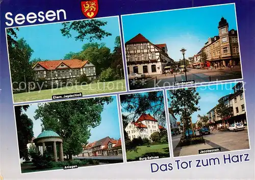 AK / Ansichtskarte 73839672 Seesen_Harz Ehem Jagdschloss Jacobsonstrasse Anlagen Burg Sehusa  Seesen Harz