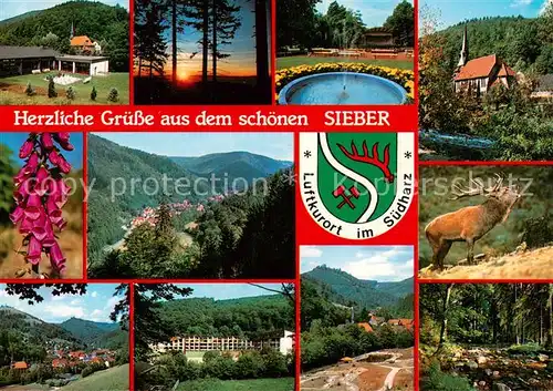 AK / Ansichtskarte Sieber_Herzberg_am_Harz Panorama Teilansichten Brunnen Kirche Hirsch  