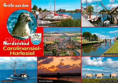 AK / Ansichtskarte Carolinensiel Harlesiel_Ostfriesland Schleuse Museumshafen Ortsansicht Friedrichschleuse Krabbenkutter Sonnenuntergang Schafe auf dem Deich Carolinensiel Harlesiel