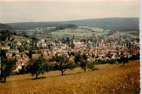 AK / Ansichtskarte Bad_Brueckenau Panorama Bad_Brueckenau