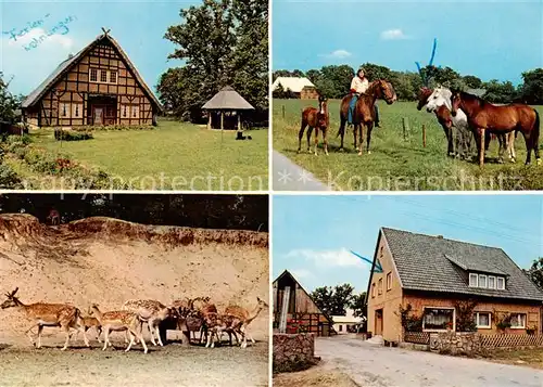 AK / Ansichtskarte 73842330 Marleben Fachwerkhaus Pferdeherde Wildfuetterung Reiterhof Klaucke Marleben