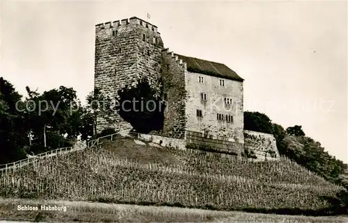 AK / Ansichtskarte Habsburg_Schloss_AG Schlossruine Habsburg 