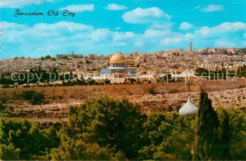 AK / Ansichtskarte Jerusalem__Yerushalayim_Israel Vue du Mont des Olivier 