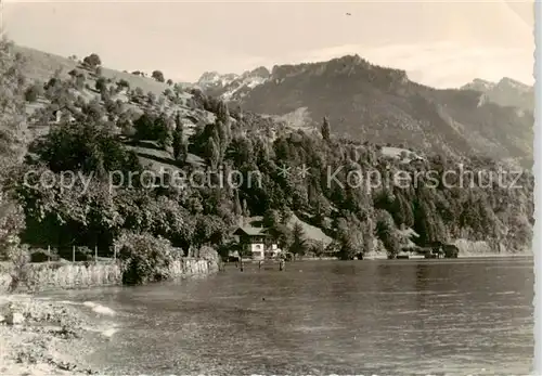 AK / Ansichtskarte  Gunten_Thunersee_BE Panorama mit Spitze Fluh 