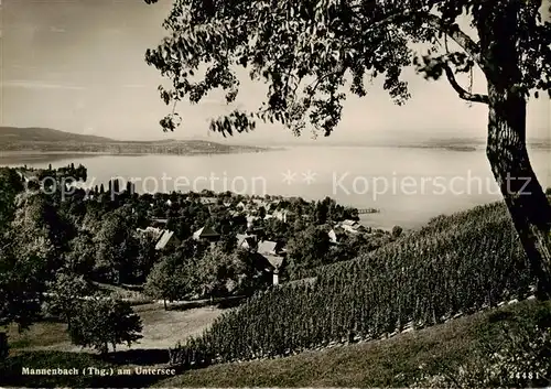 AK / Ansichtskarte Mannenbach_Untersee Panorama Mannenbach Untersee