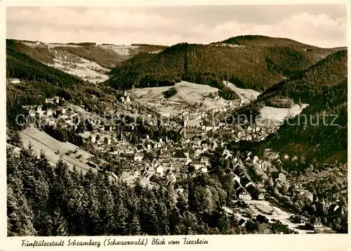 AK / Ansichtskarte Schramberg Blick vom Tierstein Schramberg