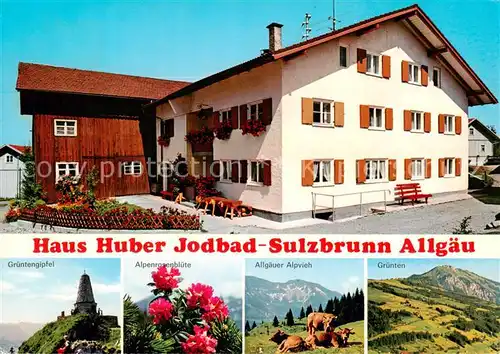 AK / Ansichtskarte 73845043 Schlechtenberg_Allgaeu Haus Huber Jodbad Sulzbrunn Gruentengipfel Alpenrosenbluete Allgaeuer Alpvieh Gruenten Schlechtenberg_Allgaeu