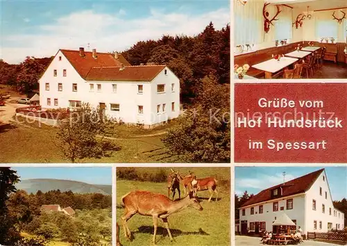 AK / Ansichtskarte Eschau_Unterfranken Gasthaus Pension Hundsrueck Gaststube Panorama Rotwild Brunnen Eschau Unterfranken