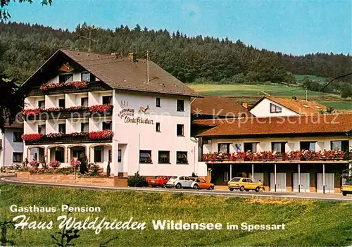 AK / Ansichtskarte Eschau_Unterfranken Gasthaus Pension Waldfrieden Eschau Unterfranken