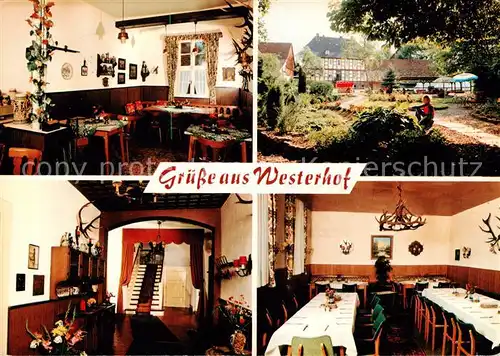 AK / Ansichtskarte Westerhof_Westharz Pension Forsthaus Gastraeume Park Westerhof_Westharz