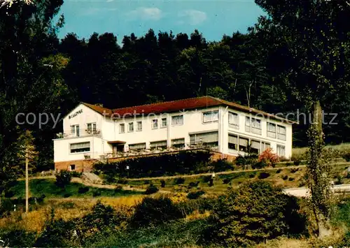 AK / Ansichtskarte Wolfshausen_Marburg Biedenkopf Hotel Bellevue Lahn Wolfshausen