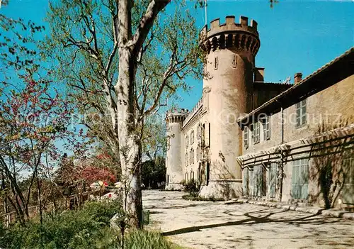 AK / Ansichtskarte  Gemenos_13_Bouches-du-Rhone Saint Jean de Garguier La Terrasse et le Chateau 