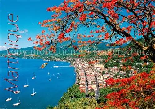 AK / Ansichtskarte Saint_Pierre_Martinique Panorama et la montagne Pelee Saint_Pierre_Martinique