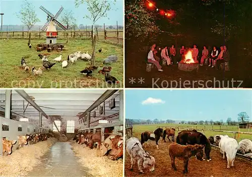 AK / Ansichtskarte 73848253 Nindorf_Hohenwestedt Ketelsen Hof Muehle Lagerfeuer Kuhstall Esel und Ponys 