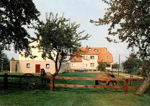 AK / Ansichtskarte 73849298 Bispingen Ferienhaus am Waldesrand Bispingen