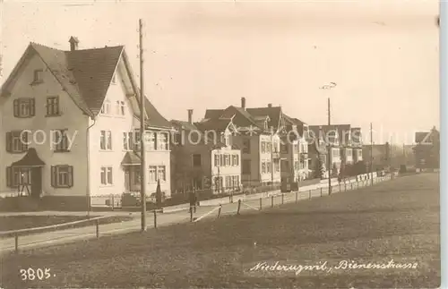 AK / Ansichtskarte  Niederuzwil_Uzwil_SG Bienenstrasse 