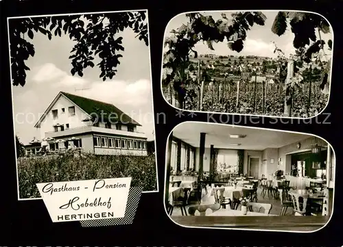 AK / Ansichtskarte 73852898 Hertingen_Bad_Bellingen Gasthaus Pension Hebelhof Gastraum Reblandschaft Hertingen_Bad_Bellingen