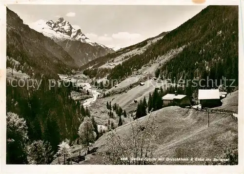 AK / Ansichtskarte  Safien-Egschi_GR Panorama mit Bruschghorn Blick ins Safiertal 