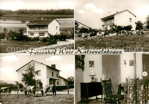 AK / Ansichtskarte 73854515 Katzenelnbogen Ferienhof Weis Gaststube Weiderinder Katzenelnbogen